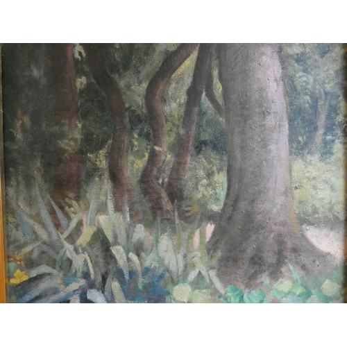 276 - Robert Belgrand 1900-1960, oil on canvas depicting wooded landscape in a square gilt frame, image ap... 