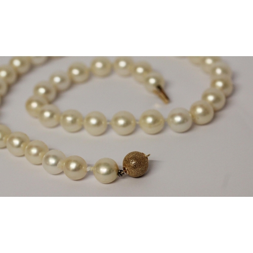 647 - A uniform row of cultured pearls with gold bead clasp. 45 cms long approx.