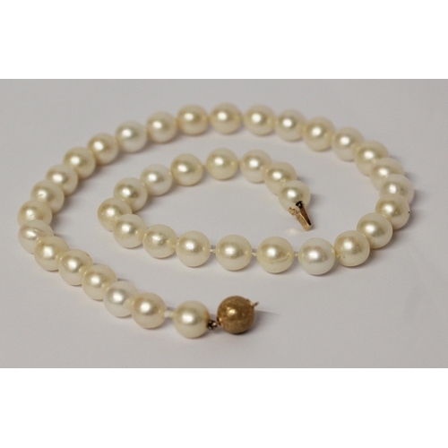 647 - A uniform row of cultured pearls with gold bead clasp. 45 cms long approx.