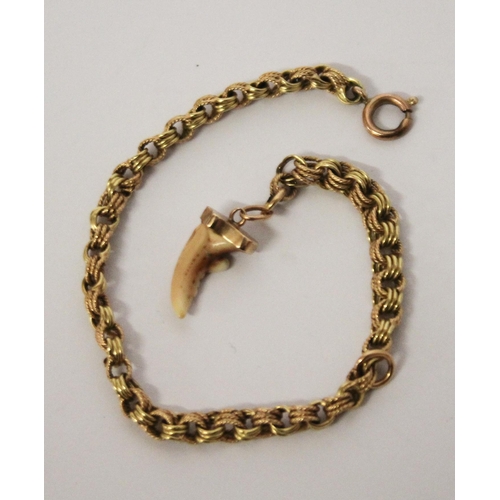 714 - Victorian gold chain bracelet, 4.8 grams. set with canine tooth charm.