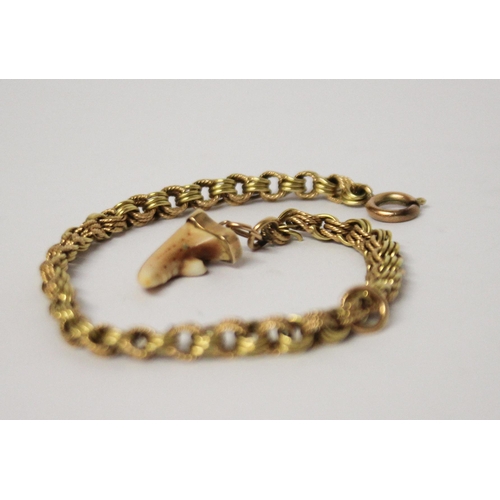 714 - Victorian gold chain bracelet, 4.8 grams. set with canine tooth charm.