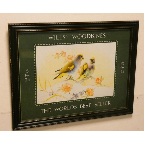 300 - Will's Woodbines World's Best Seller advertising poster, framed and glazed, image size 15