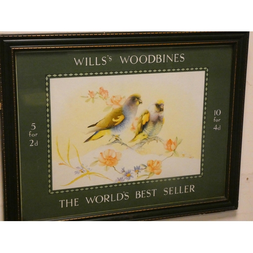 300 - Will's Woodbines World's Best Seller advertising poster, framed and glazed, image size 15