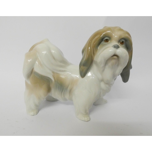 355 - Lladro figure of a terrier dog