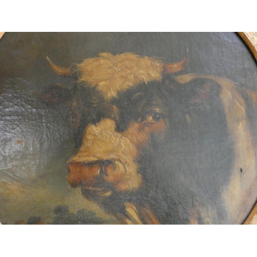 305 - Thomas Preston - 19th century oil on canvas painting of a Prize Bull, in gilt frame, Canvas signed T... 