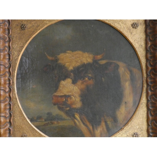 305 - Thomas Preston - 19th century oil on canvas painting of a Prize Bull, in gilt frame, Canvas signed T... 