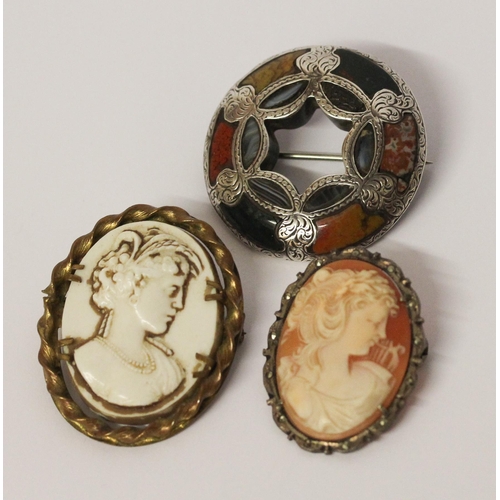 572 - A Scottish hardstone circular brooch in silver mount and two framed cameo brooches