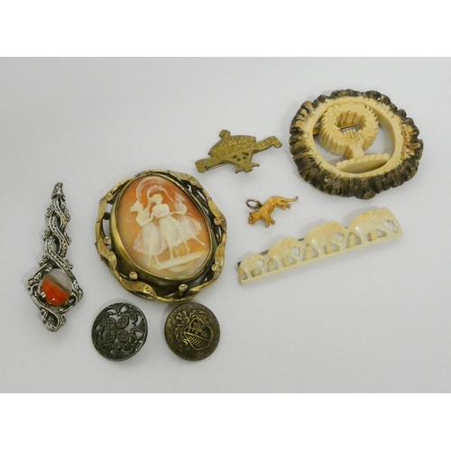 660 - Large oval carved shell cameo brooch, tiger charm and several other vintage carved bone brooches etc