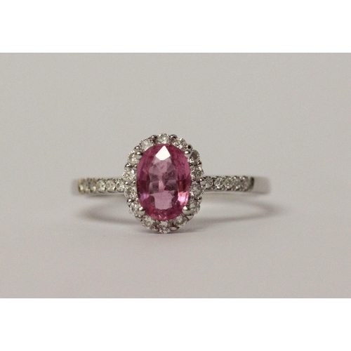 673 - Modern pink sapphire and diamond cluster ring, on 14ct white gold band. Hallmarked, ring size L