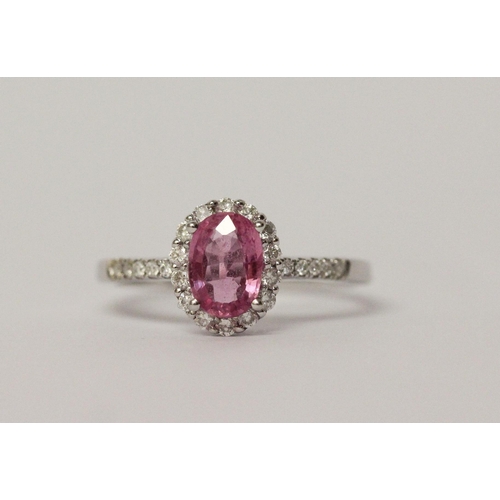 673 - Modern pink sapphire and diamond cluster ring, on 14ct white gold band. Hallmarked, ring size L