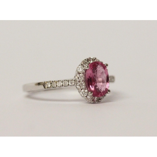 673 - Modern pink sapphire and diamond cluster ring, on 14ct white gold band. Hallmarked, ring size L