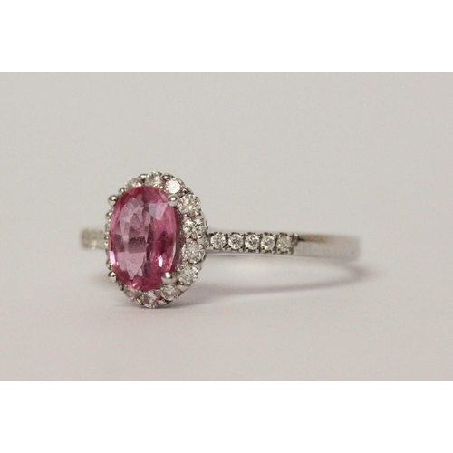 673 - Modern pink sapphire and diamond cluster ring, on 14ct white gold band. Hallmarked, ring size L