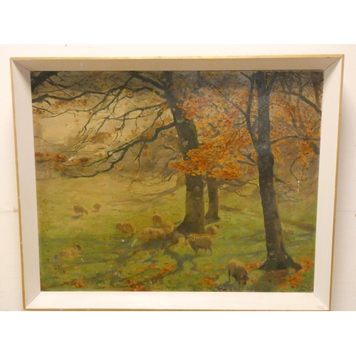 249 - A large modern oil on canvas depicting sheep in an autumnal field, signed lower right E. Noke, image... 