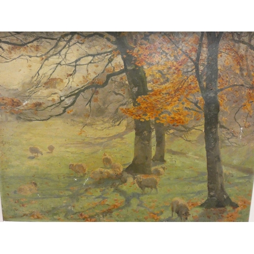 249 - A large modern oil on canvas depicting sheep in an autumnal field, signed lower right E. Noke, image... 