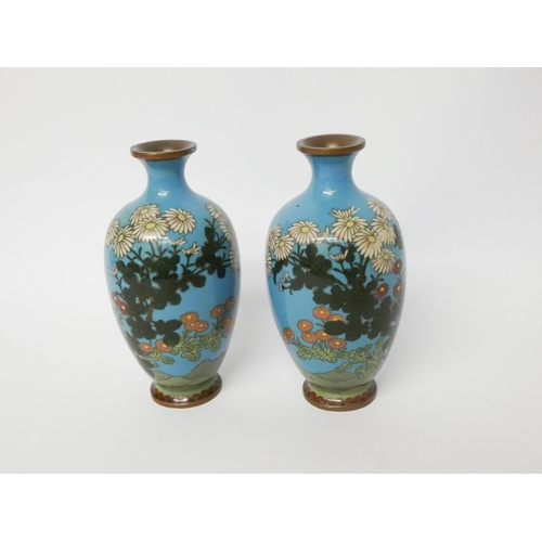 199 - A pair of Japanese cloisonné vases decorated with a turquoise ground