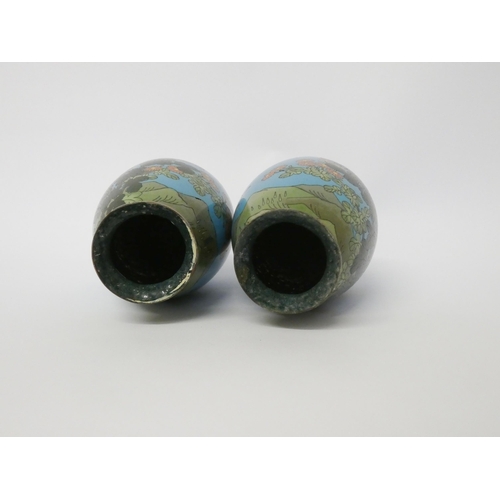 199 - A pair of Japanese cloisonné vases decorated with a turquoise ground