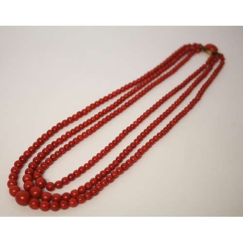 558 - Vintage red coral bead three strand necklace, with oval 18ct gold cabochon coral set clasp. With Gol... 