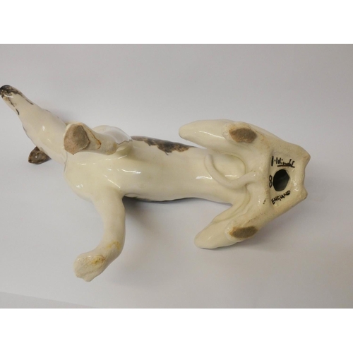 240 - A Winstanley pottery model of a seated lurcher or whippet with glass eyes, height 32cms