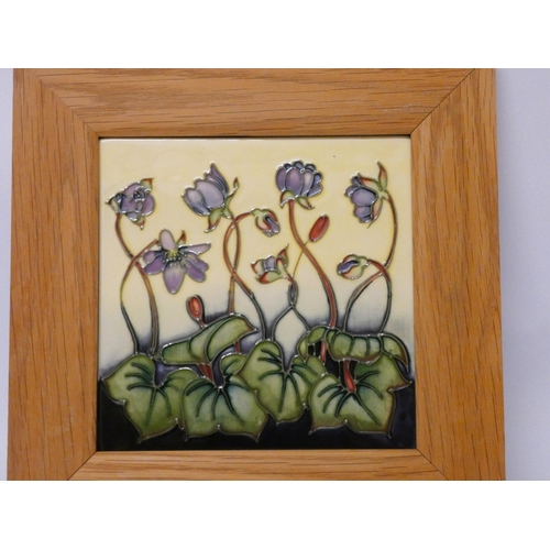 151 - Moorcroft - a framed tile plaque decorated with purple cyclamen, dated 1999. Tile approximately 16 c... 