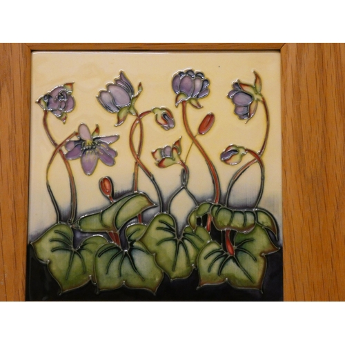 151 - Moorcroft - a framed tile plaque decorated with purple cyclamen, dated 1999. Tile approximately 16 c... 