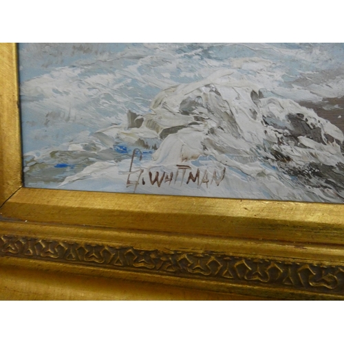 238 - An early 20th century oil on canvas of a snow scene, signed F Whitman