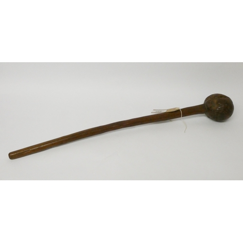 264 - A tribal throwing club, 57cms long