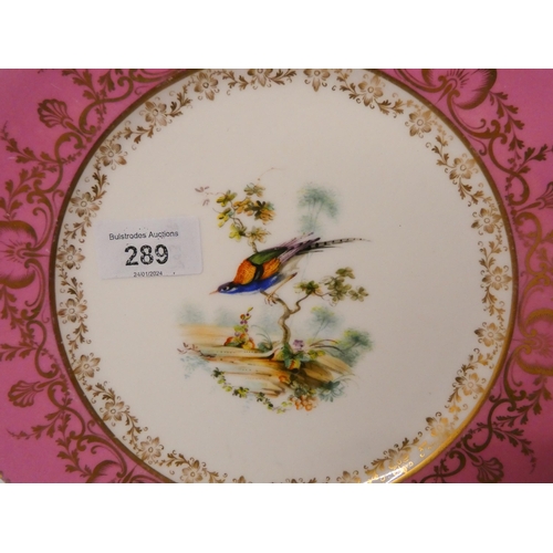 289 - Five matching Coalport Japan pattern cabinet plates and a pair of Victorian bird decorated cabinet p... 