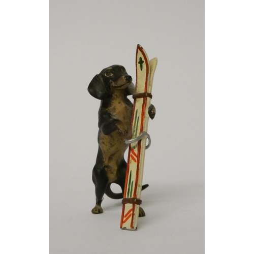 323 - Miniature cold painted novelty bronze of a dachshund carrying skis. 5 cms tall