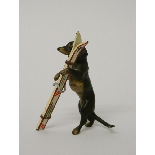 323 - Miniature cold painted novelty bronze of a dachshund carrying skis. 5 cms tall