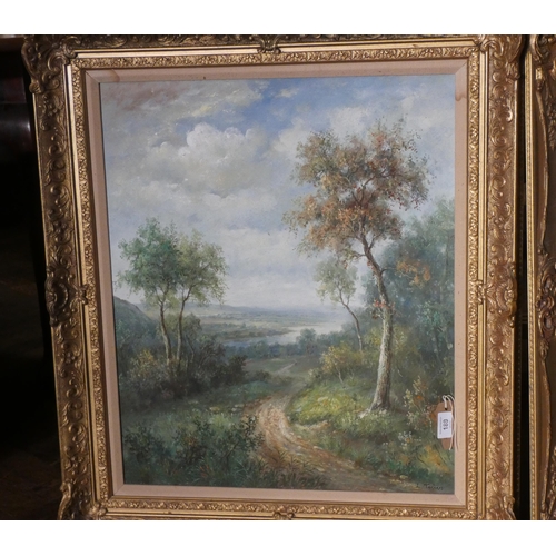 189 - Pair of oil on canvas paintings of pastoral landscape scenes, indistinctly signed. In gilt frames. I... 