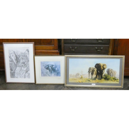 16 - A collection of signed and unsigned David Shepherd prints