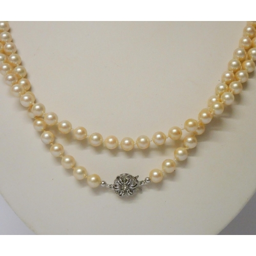 432 - A long row of cultured pearls to a German 830 standard clasp