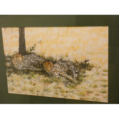 319 - A framed pastel drawing of Cheetahs, signed John Dobbs 95