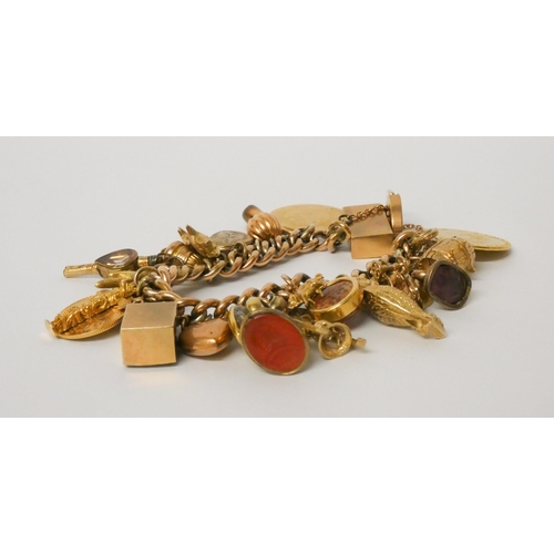 589 - A good charm bracelet, set with two Gold Spade Guineas, 1912 Gold half Sovereign, George III Gold Th... 