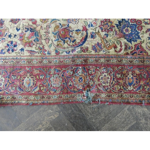 113C - Red and pattern fine pile Persian rug 6' 10