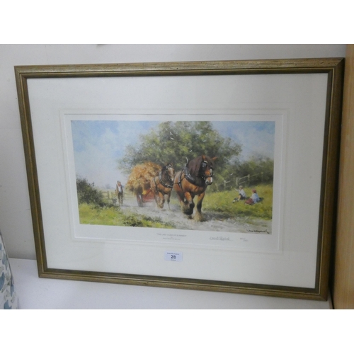 Lot 28        