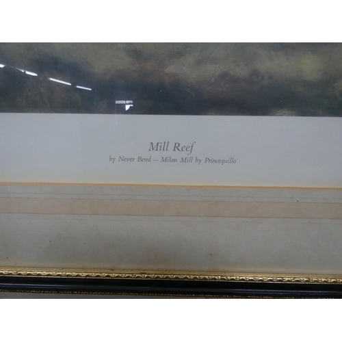 100 - A framed coloured print of the race horse 