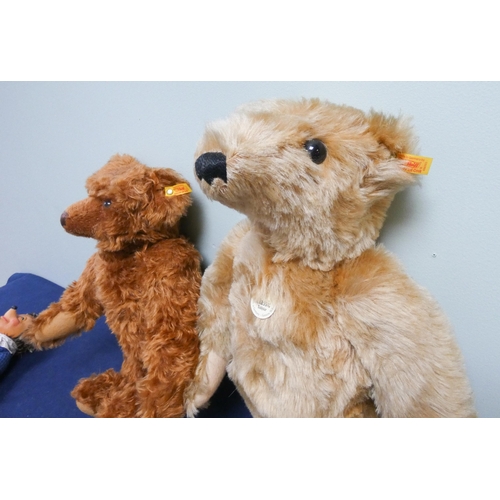 520 - Two Steiff large classic jointed teddy bears. The darker brown one has a growler