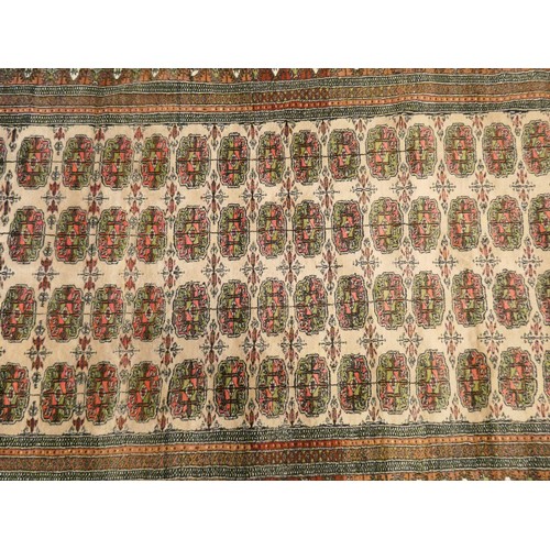 431 - A fawn and bordered Bokhara rug, 5'9 X 4'