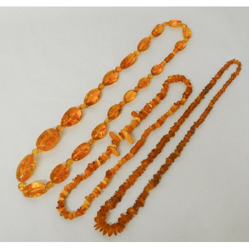 608 - A collection of three Baltic amber necklaces.