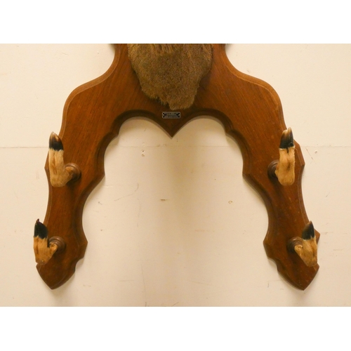 195 - A French taxidermy Roebuck head and hoof hall coat hook by Roland Brillot