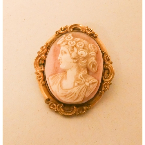 697 - An oval carved pink coral cameo brooch in unmarked yellow metal mount. 4cms long