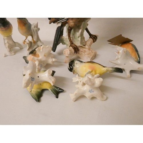 262 - A collection of Goebel Hummel figures of birds to include a large Jay, eight in the lot.