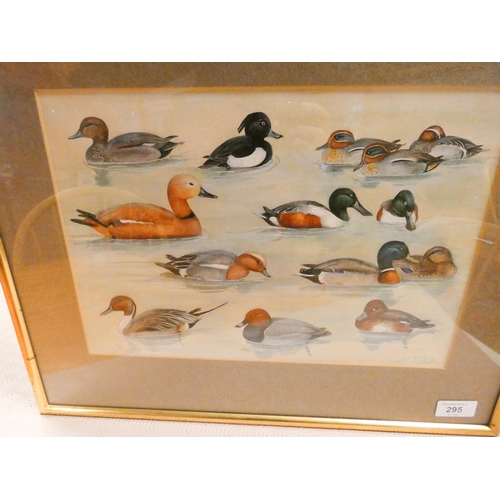 295 - A framed watercolour of 'Duck seen in Egypt' signed Shirley, lower right, framed and glazed. Image s... 