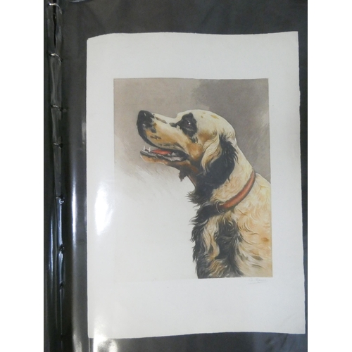 490 - A folder of various coloured and black and white engravings