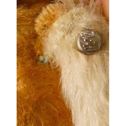 650 - A vintage Steiff fox cub mohair toy, steel button in left ear. Approximately 25cm nose to tail