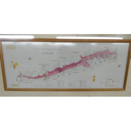 4 - Two large framed coloured prints of maps depicting the wine growing regions of France