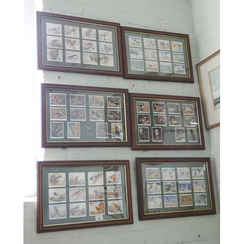 65 - Six framed montages of wild bird cigarette cards