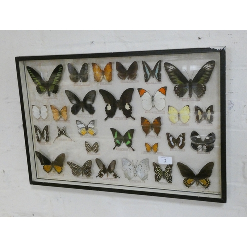 Lot 2         