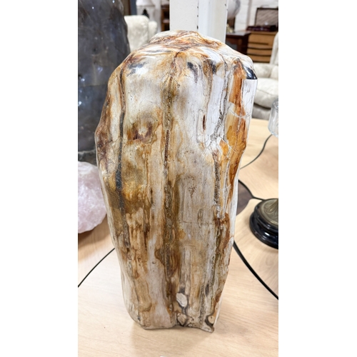 316 - A large piece of petrified wood from The Congo, Africa, 20